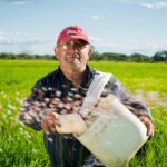 terménydiverzifikáció vetésváltás