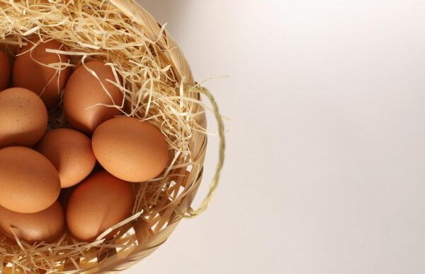 Növényi fehérje rizsfehérje