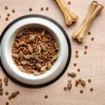 kutya étrend-kiegészítők