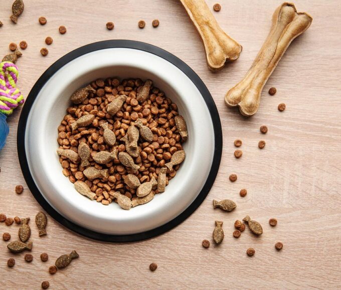 kutya étrend-kiegészítők