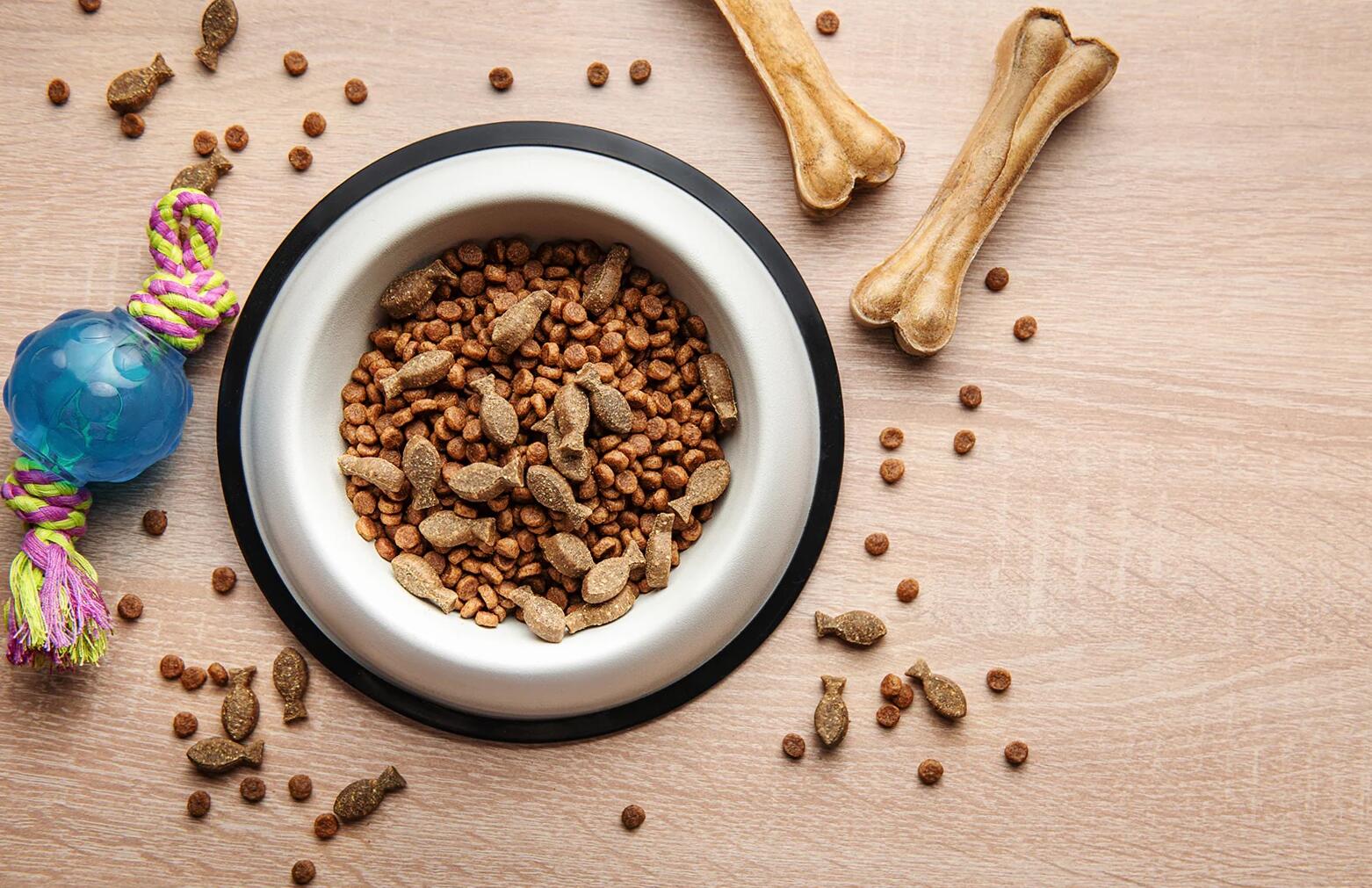 kutya étrend-kiegészítők